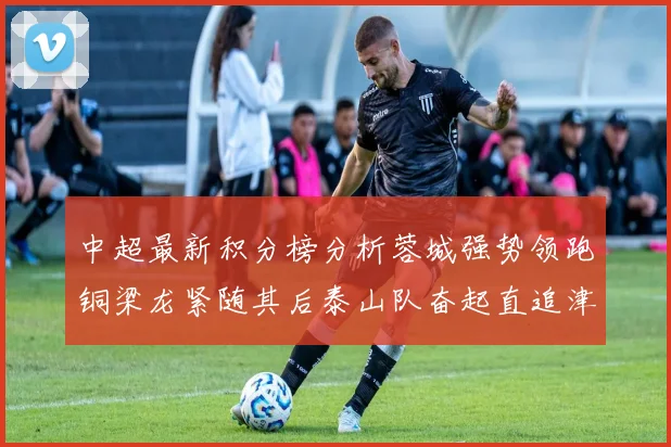 中超最新积分榜分析蓉城强势领跑铜梁龙紧随其后泰山队奋起直追津门虎仍需努力
