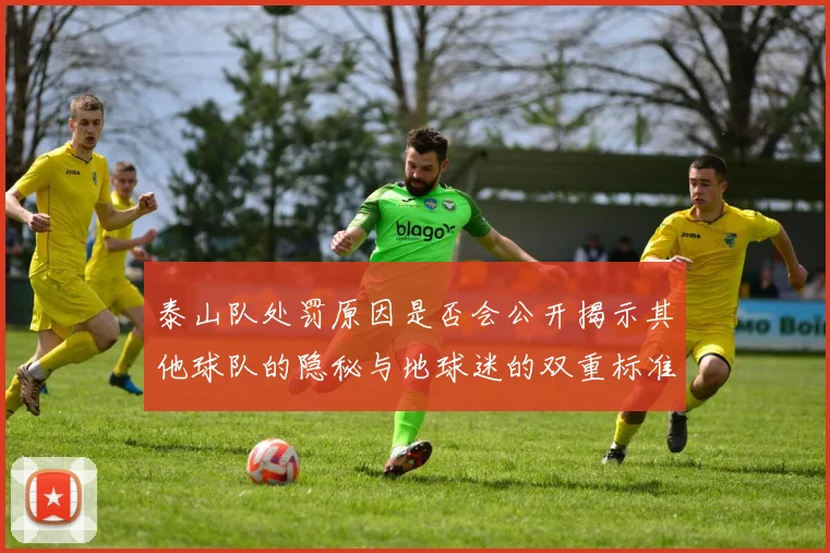 泰山队处罚原因是否会公开揭示其他球队的隐秘与地球迷的双重标准